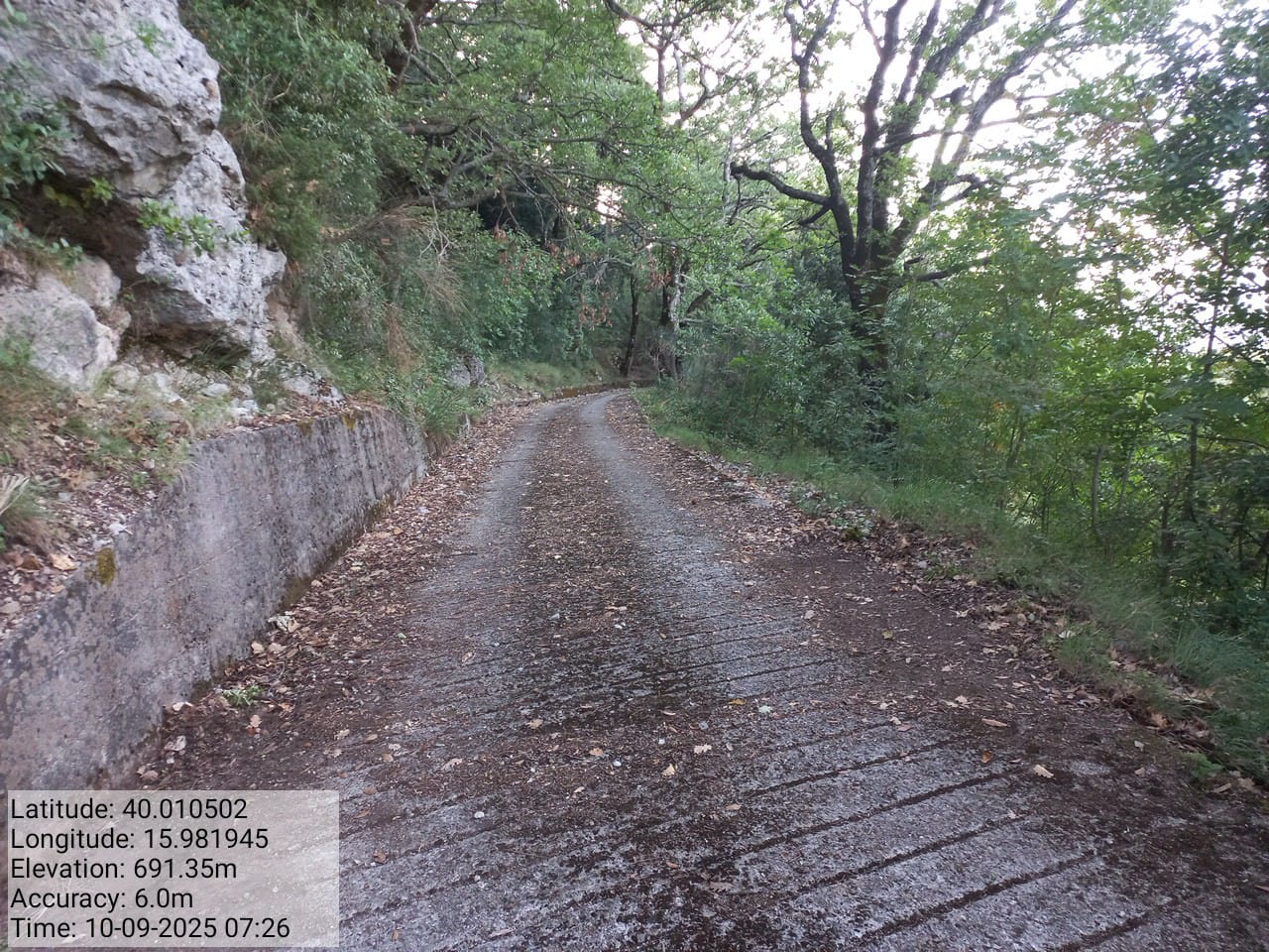 Galleria Fotografica Immagine