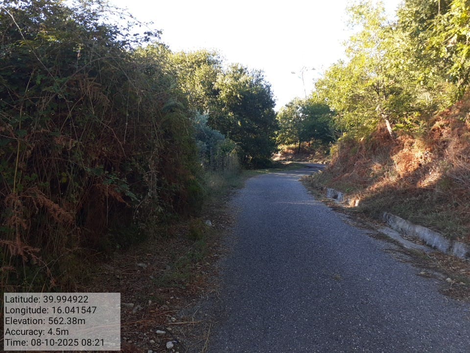 Galleria Fotografica Immagine