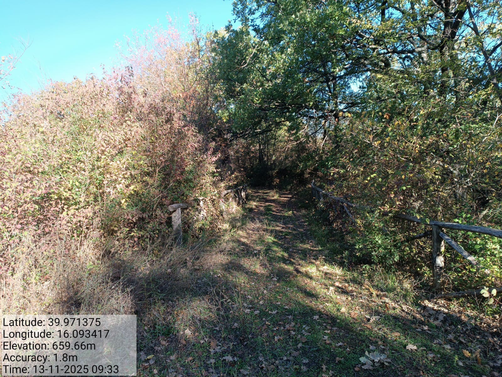 Galleria Fotografica Immagine