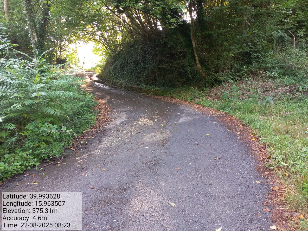 Galleria Fotografica Immagine