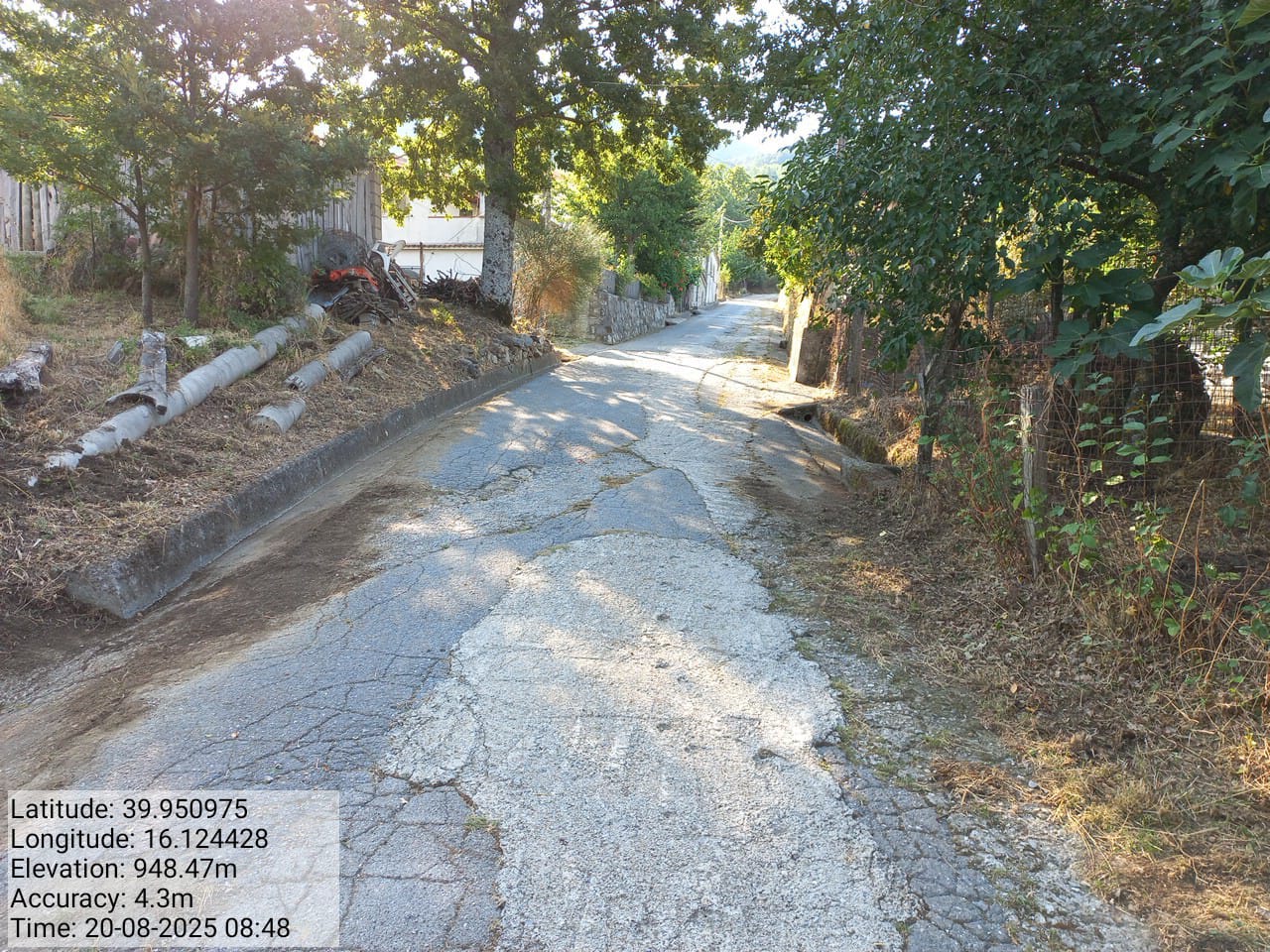 Galleria Fotografica Immagine