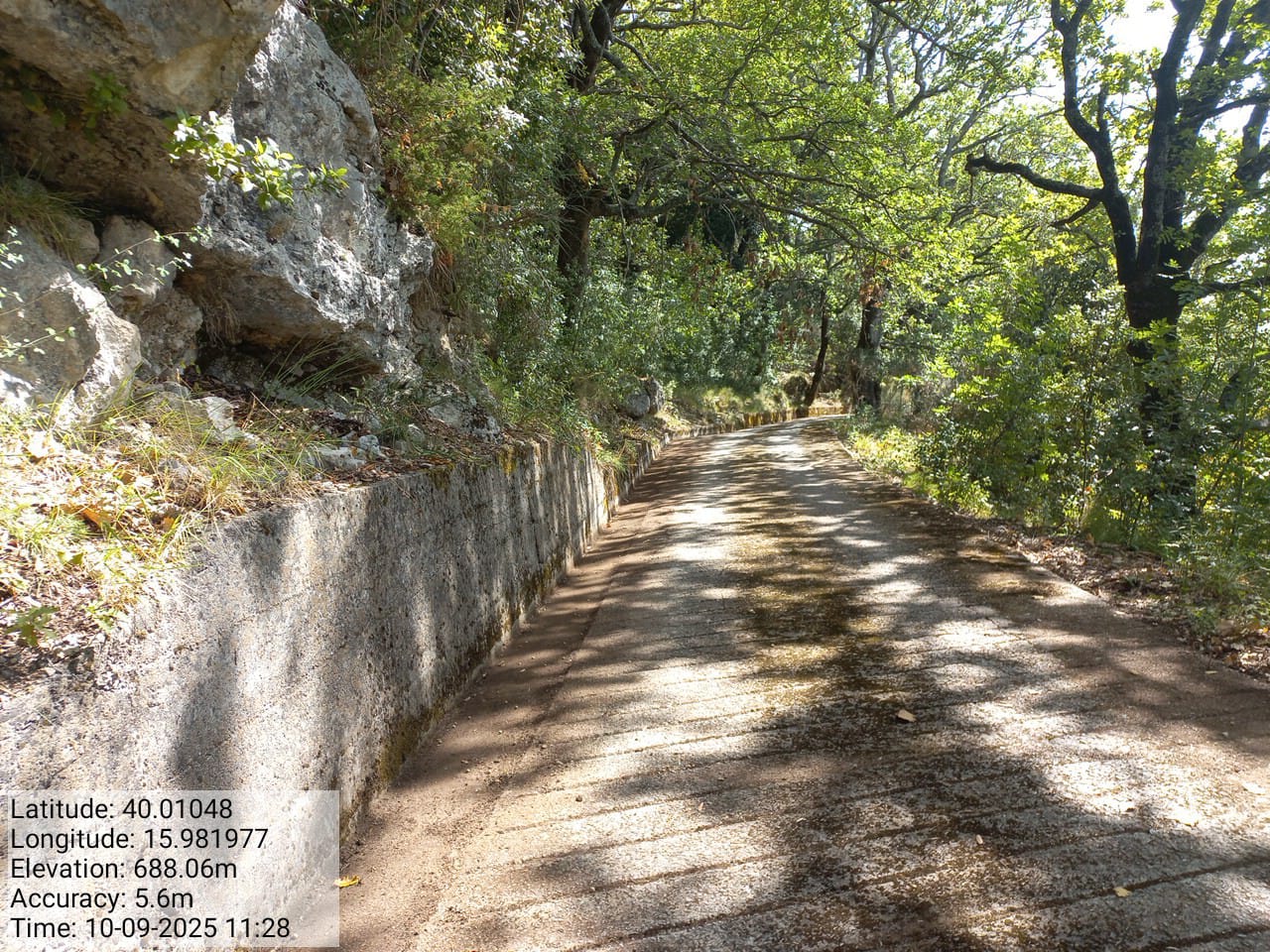 Galleria Fotografica Immagine