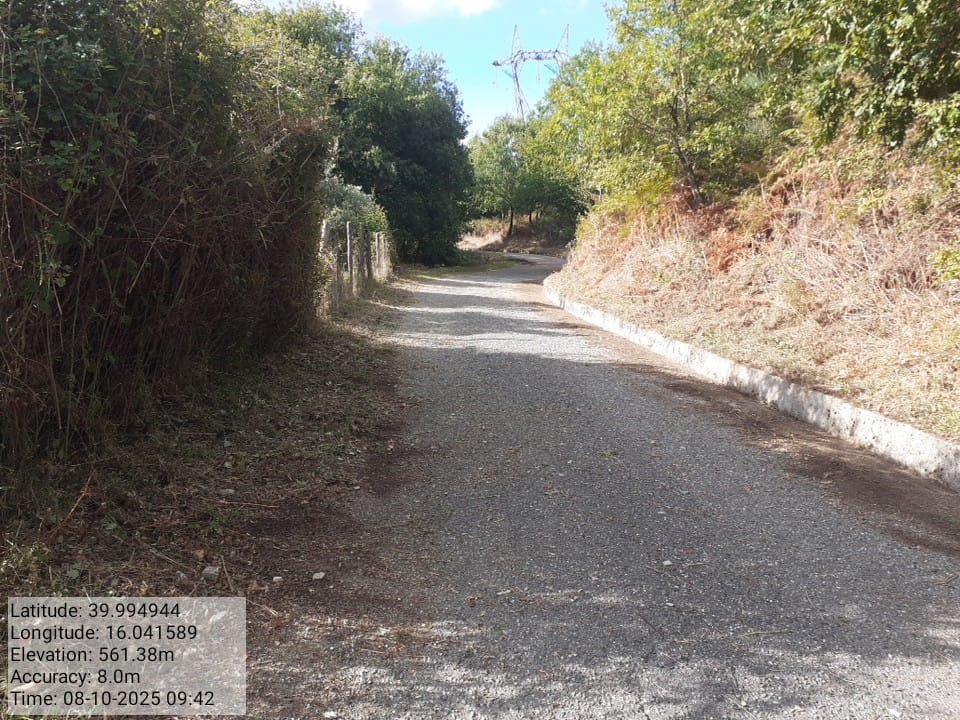 Galleria Fotografica Immagine