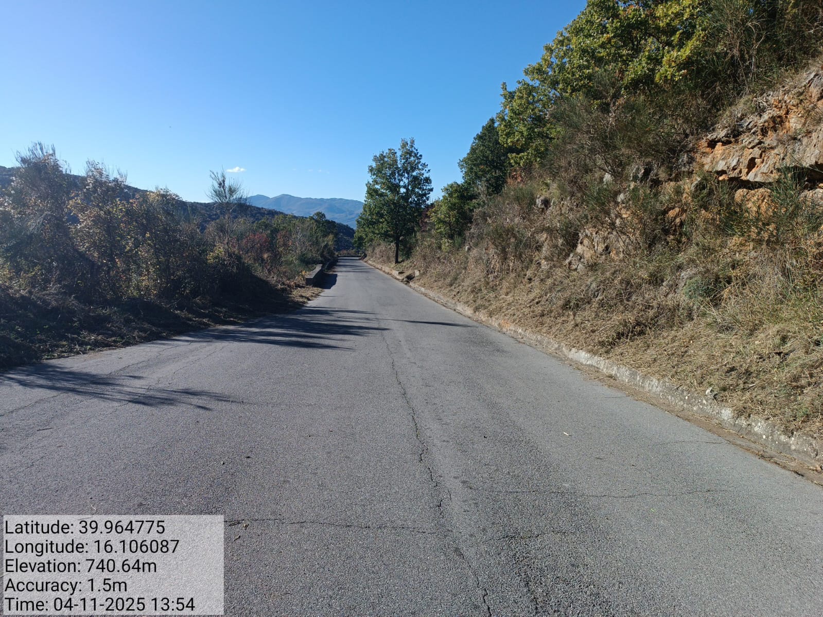 Galleria Fotografica Immagine