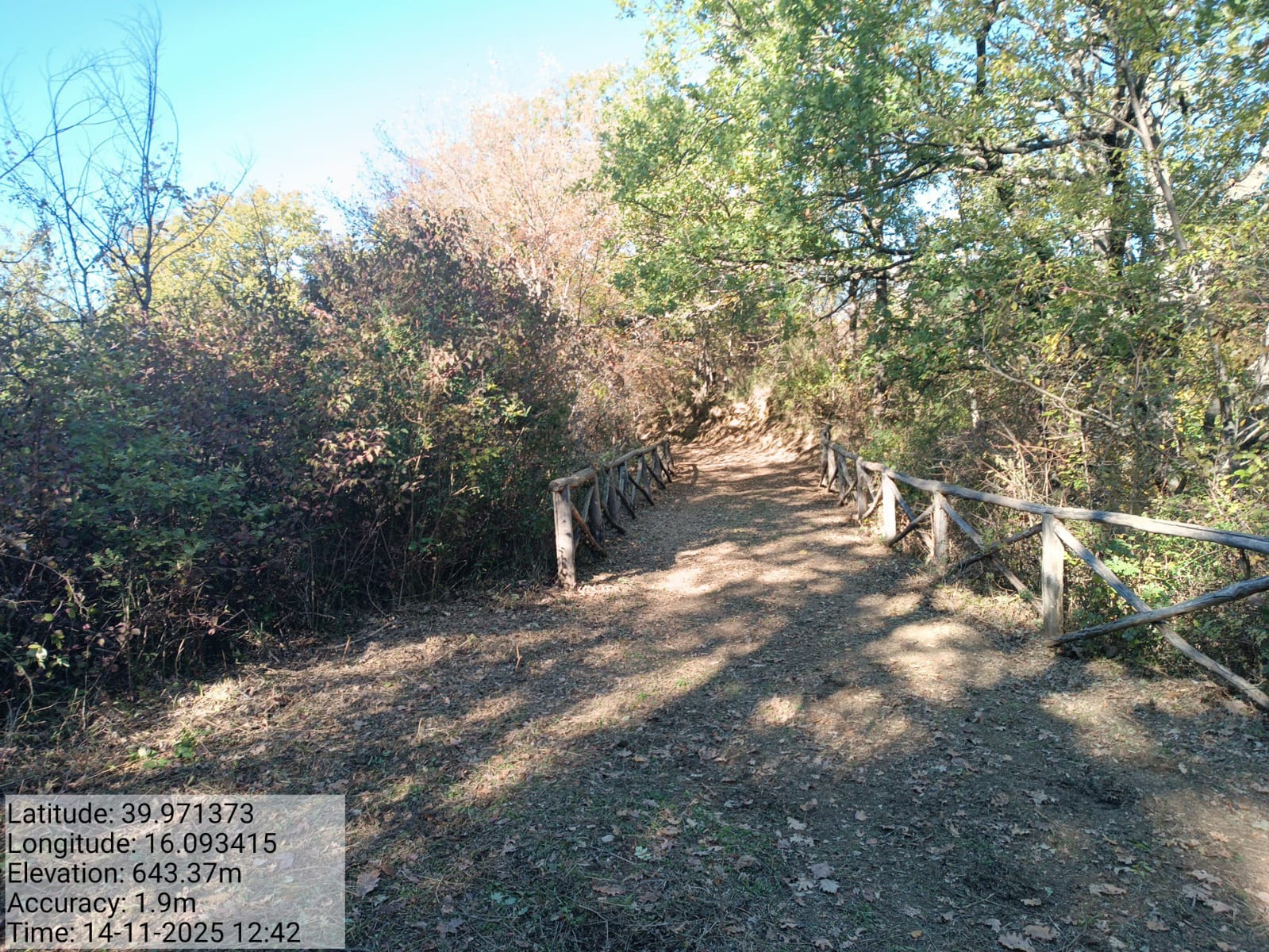 Galleria Fotografica Immagine