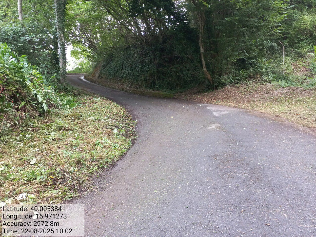 Galleria Fotografica Immagine