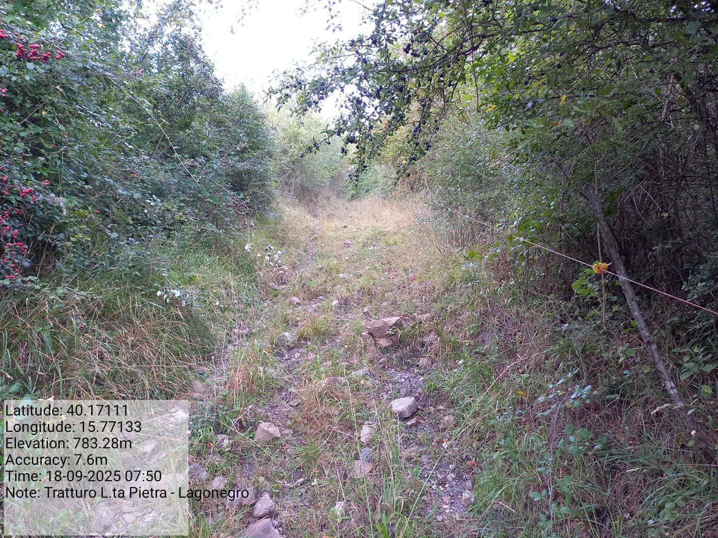 Galleria Fotografica Immagine