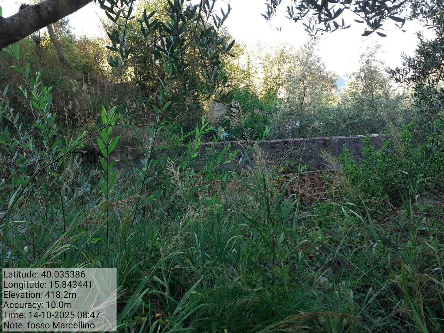 Galleria Fotografica Immagine