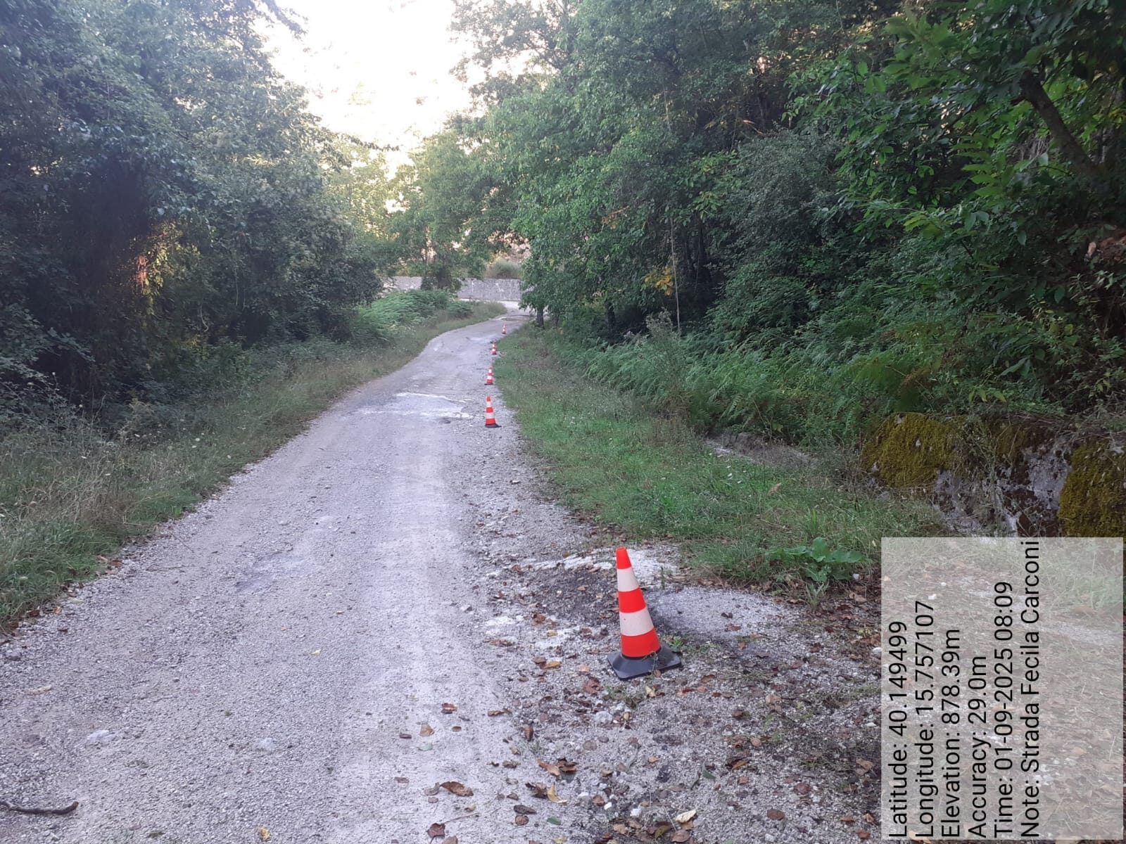 Galleria Fotografica Immagine