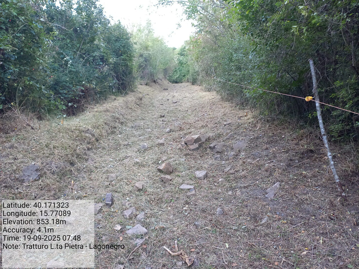 Galleria Fotografica Immagine