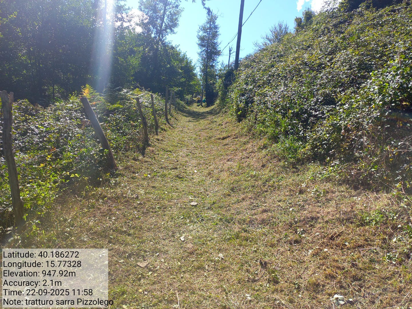 Galleria Fotografica Immagine