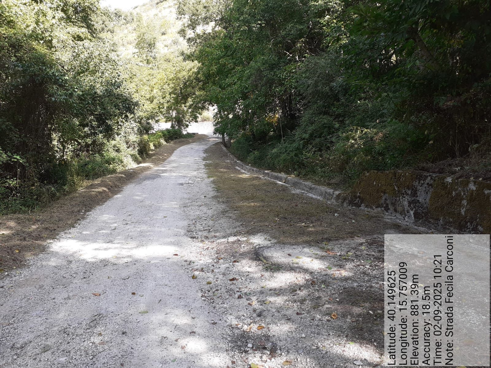 Galleria Fotografica Immagine