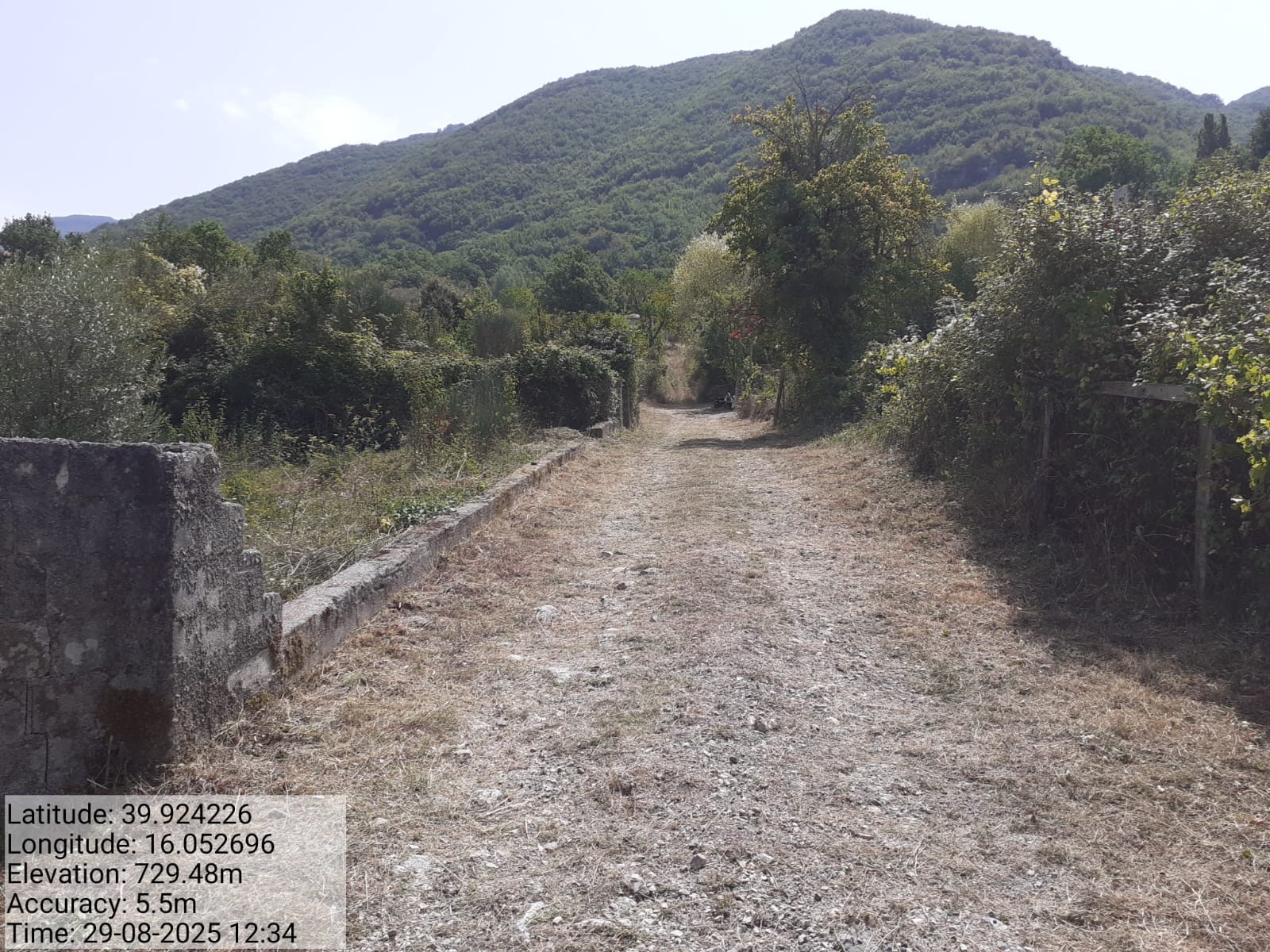 Galleria Fotografica Immagine