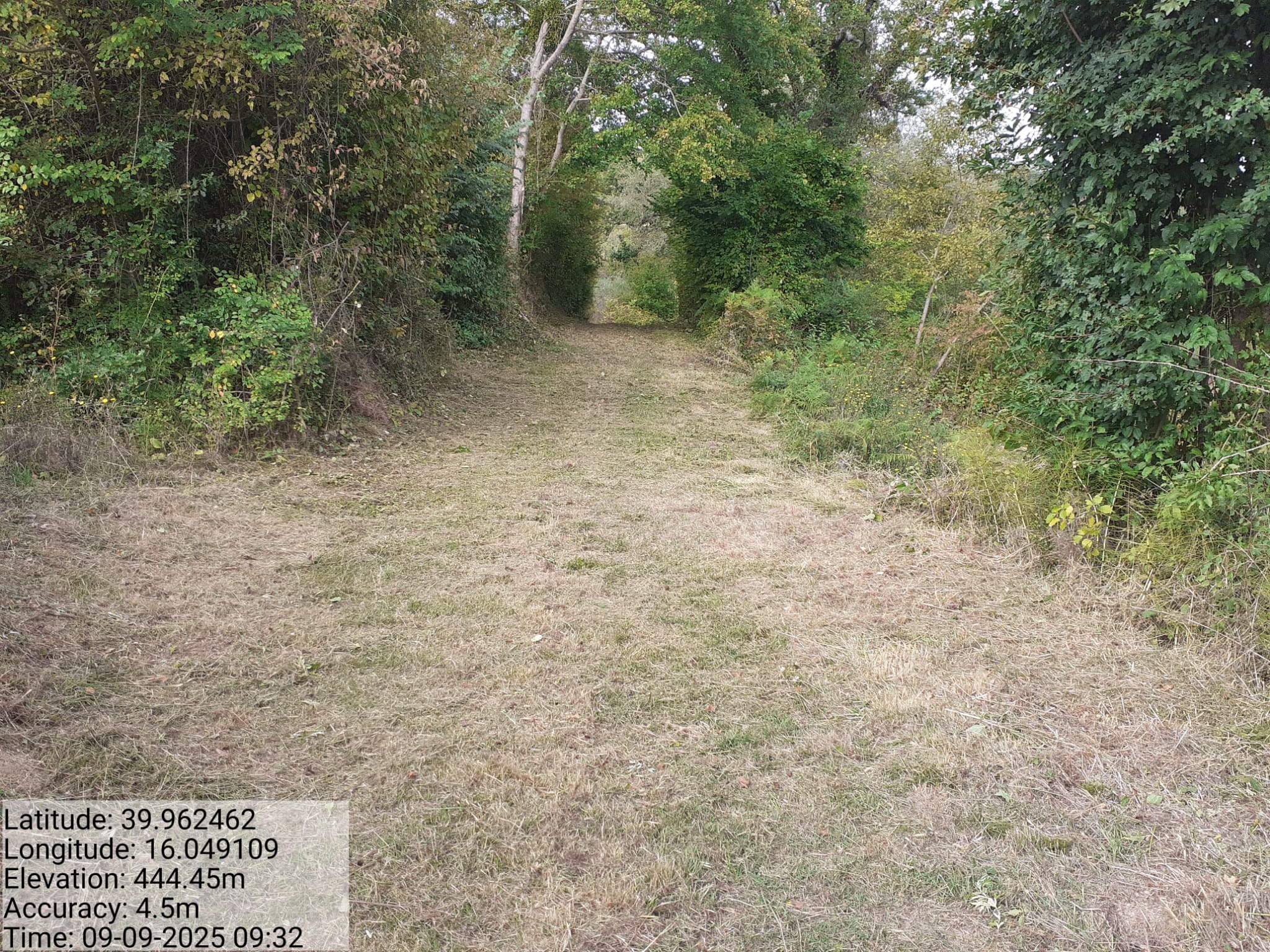 Galleria Fotografica Immagine