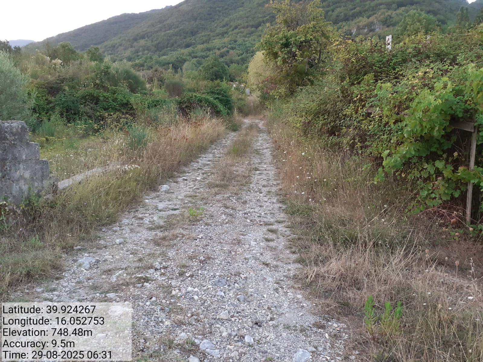 Galleria Fotografica Immagine