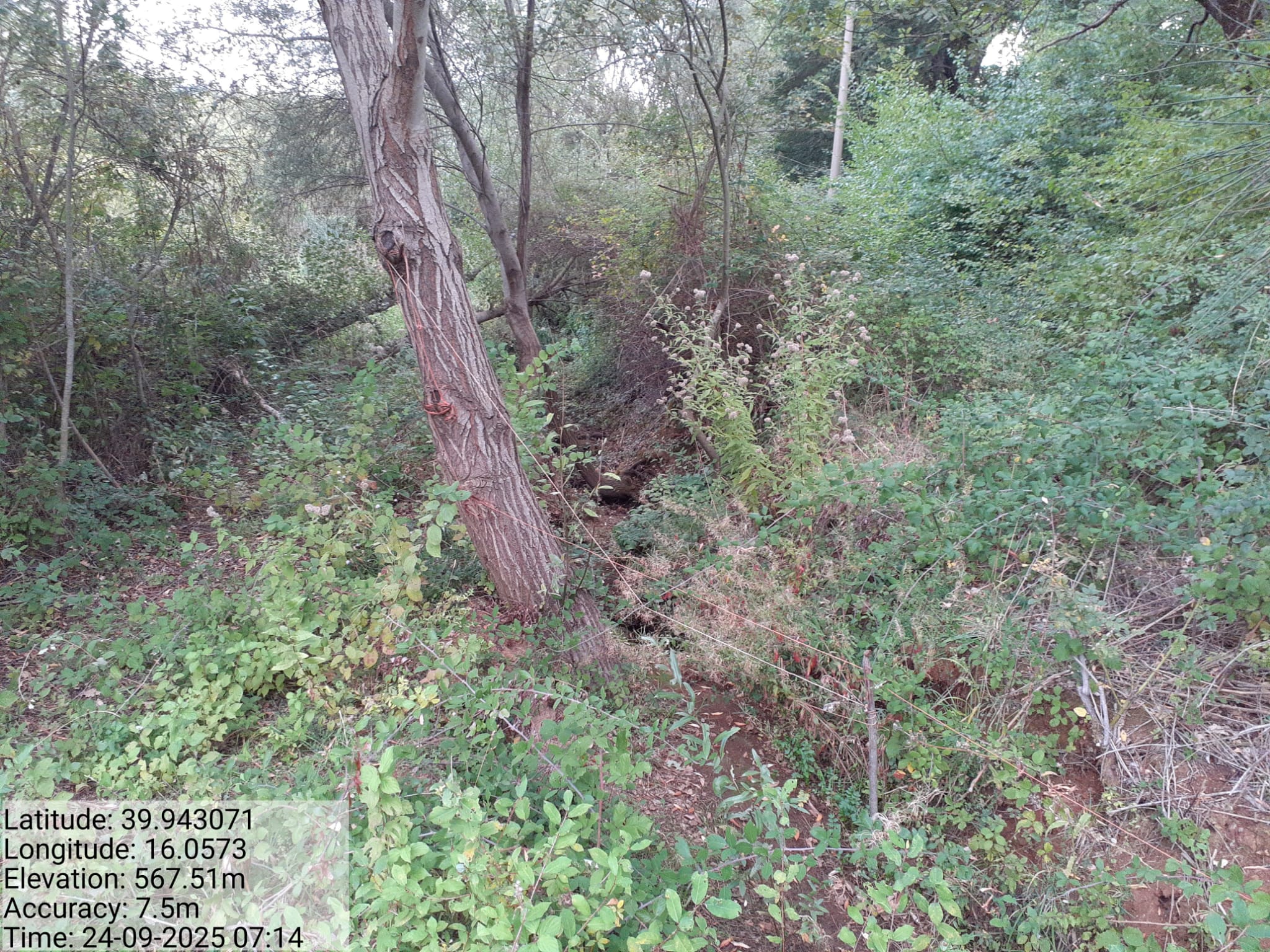 Galleria Fotografica Immagine