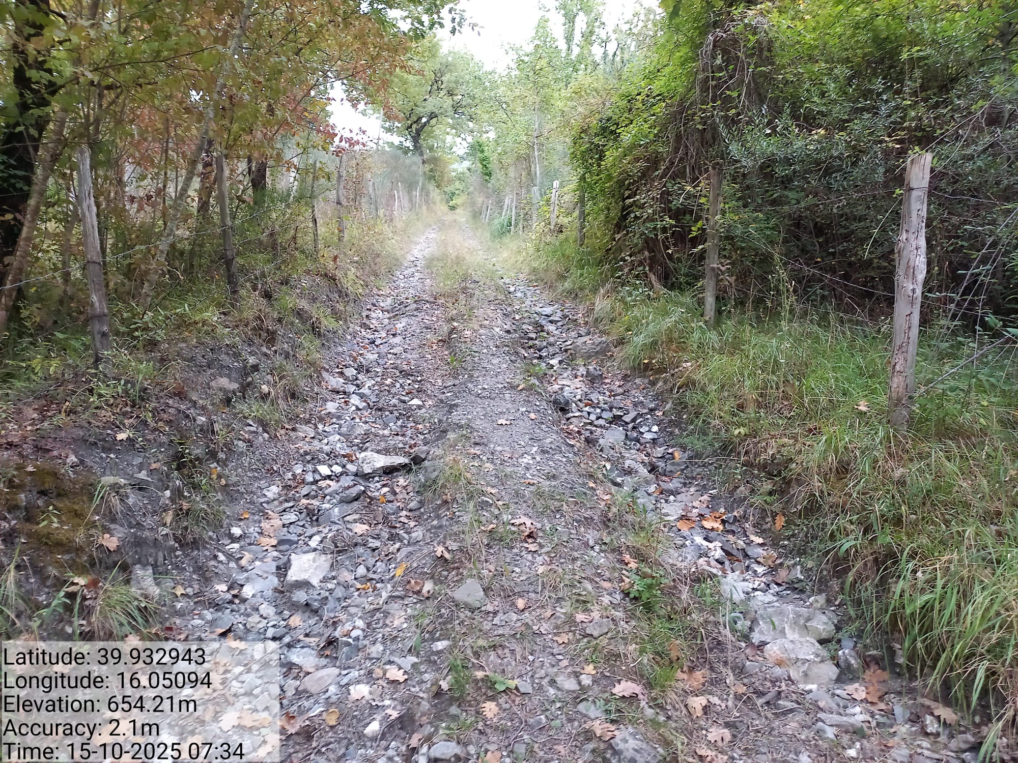 Galleria Fotografica Immagine