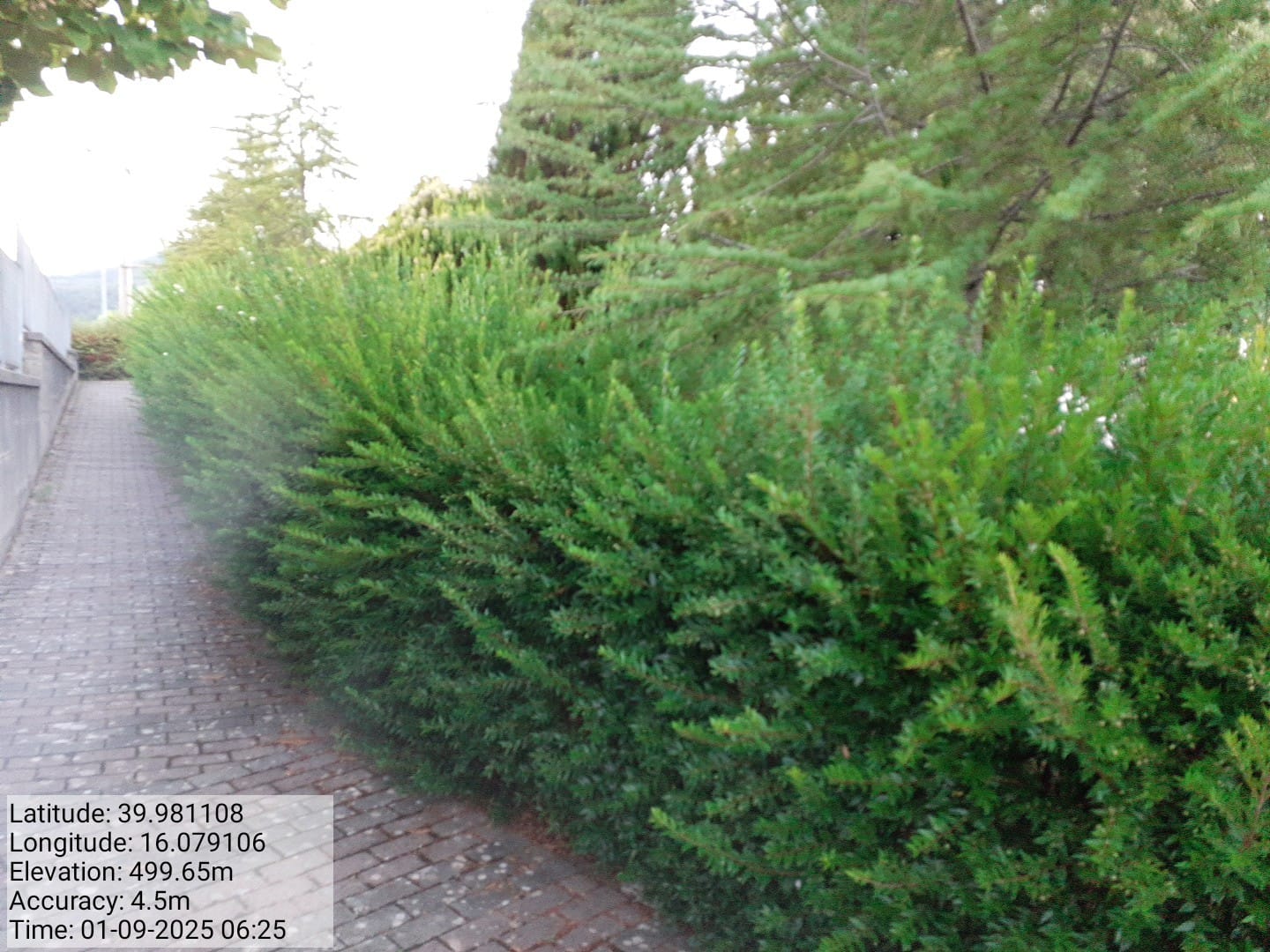 Galleria Fotografica Immagine