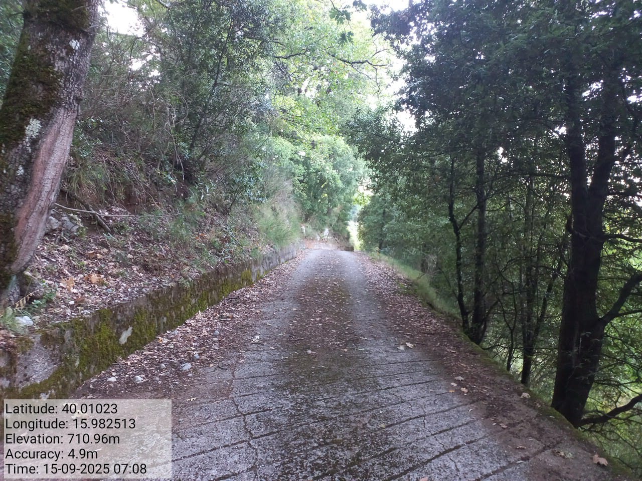 Galleria Fotografica Immagine