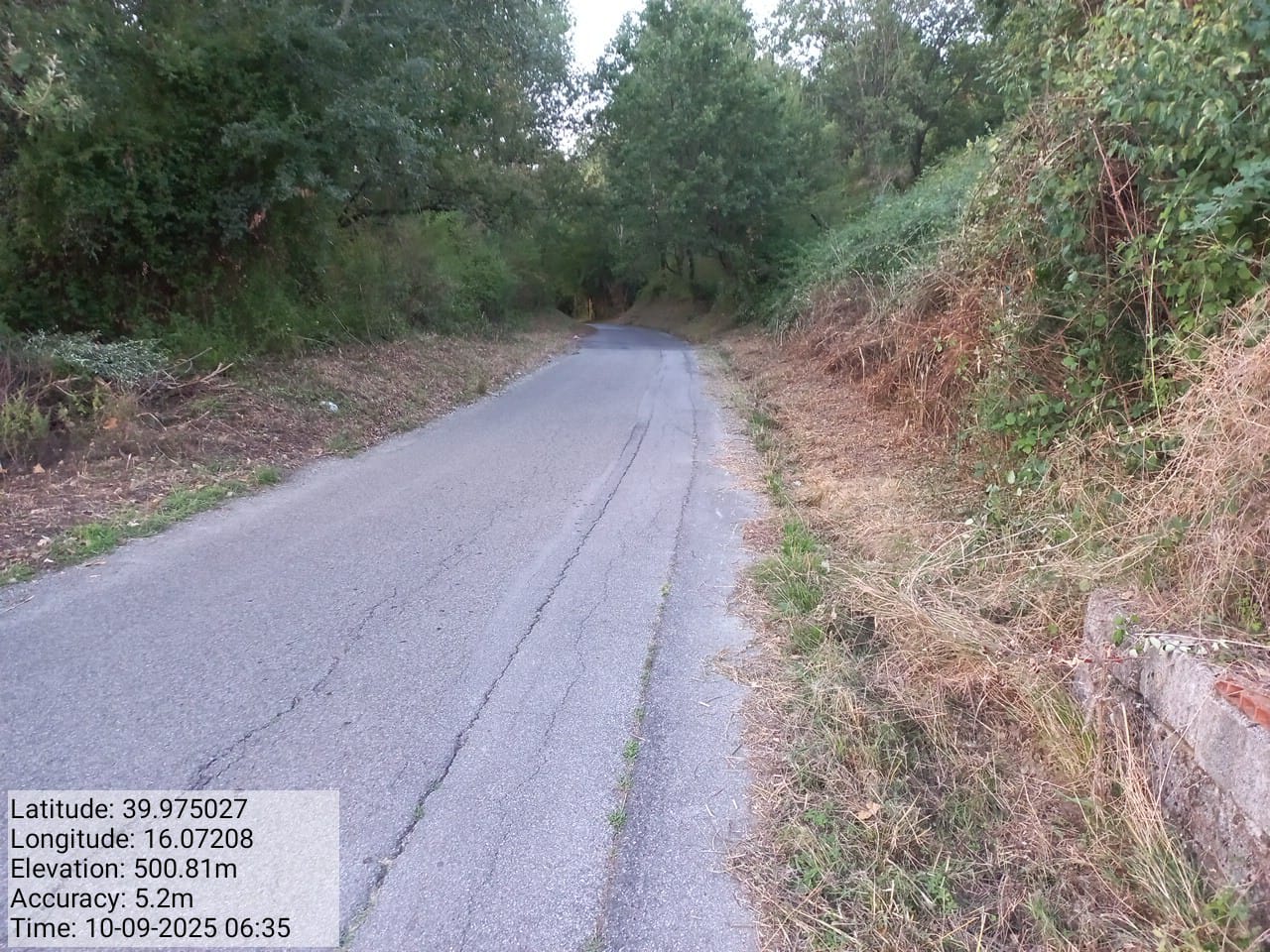 Galleria Fotografica Immagine