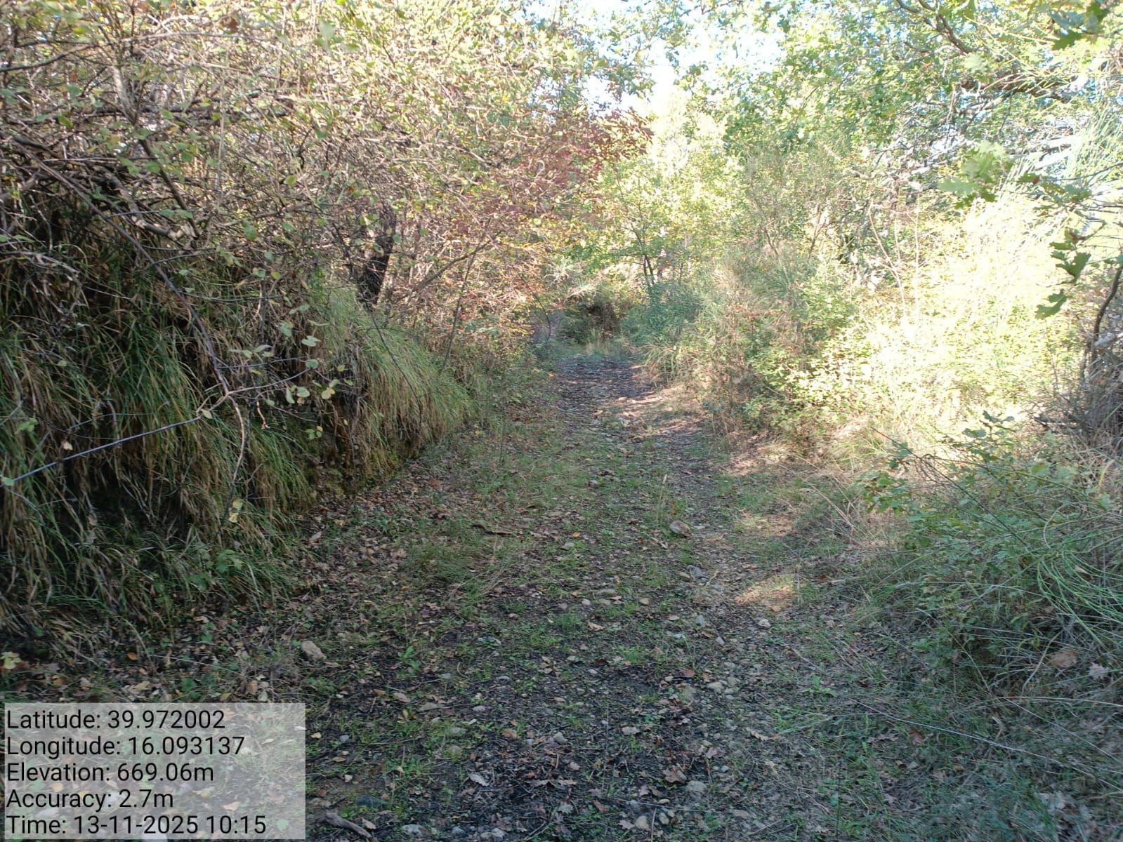 Galleria Fotografica Immagine