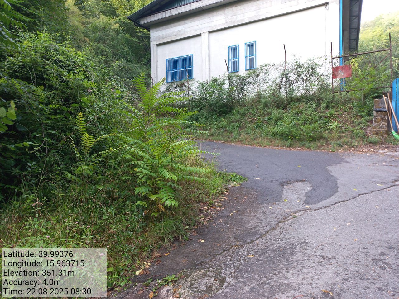 Galleria Fotografica Immagine