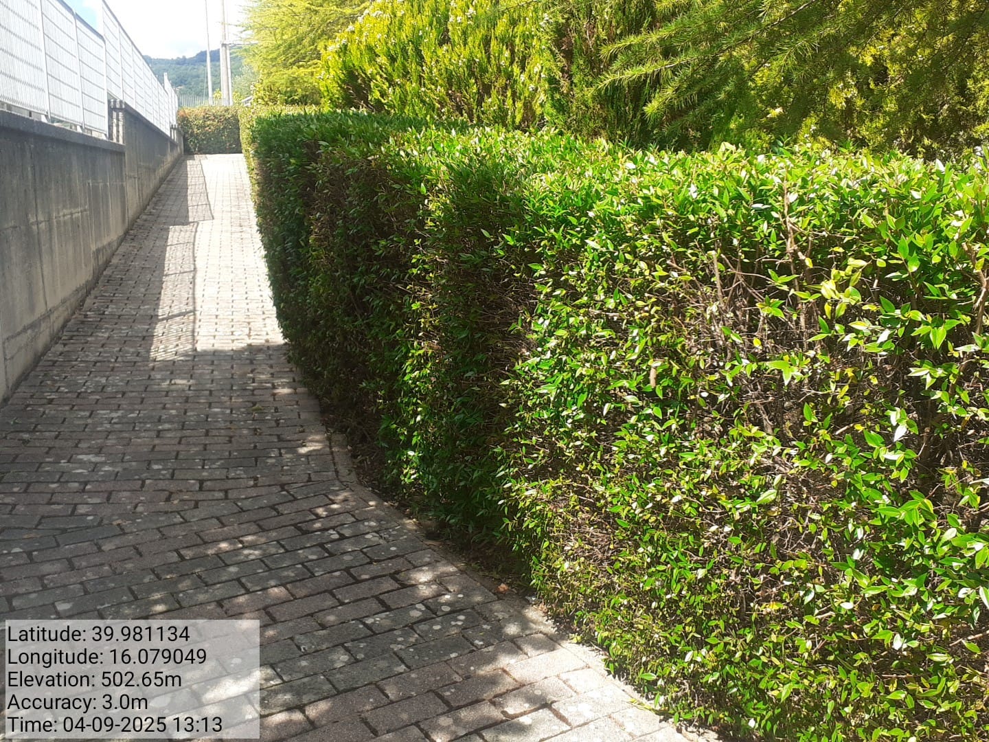 Galleria Fotografica Immagine