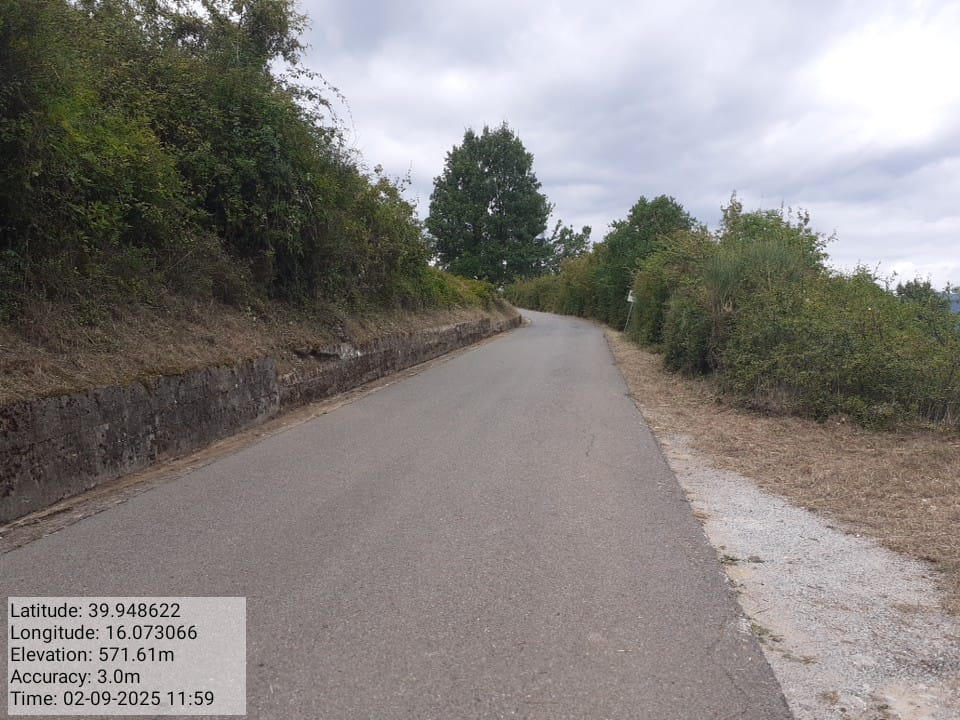 Galleria Fotografica Immagine