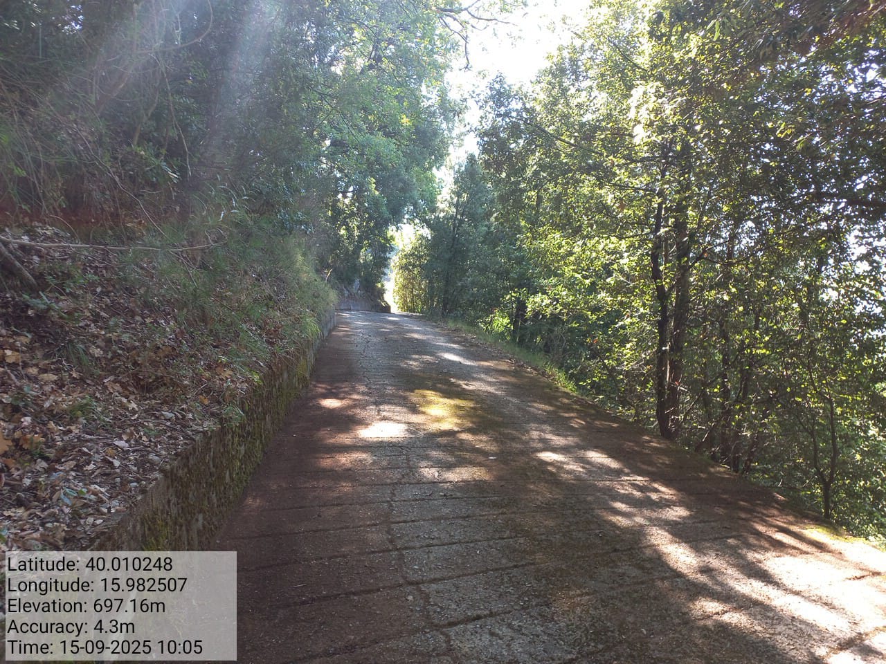 Galleria Fotografica Immagine