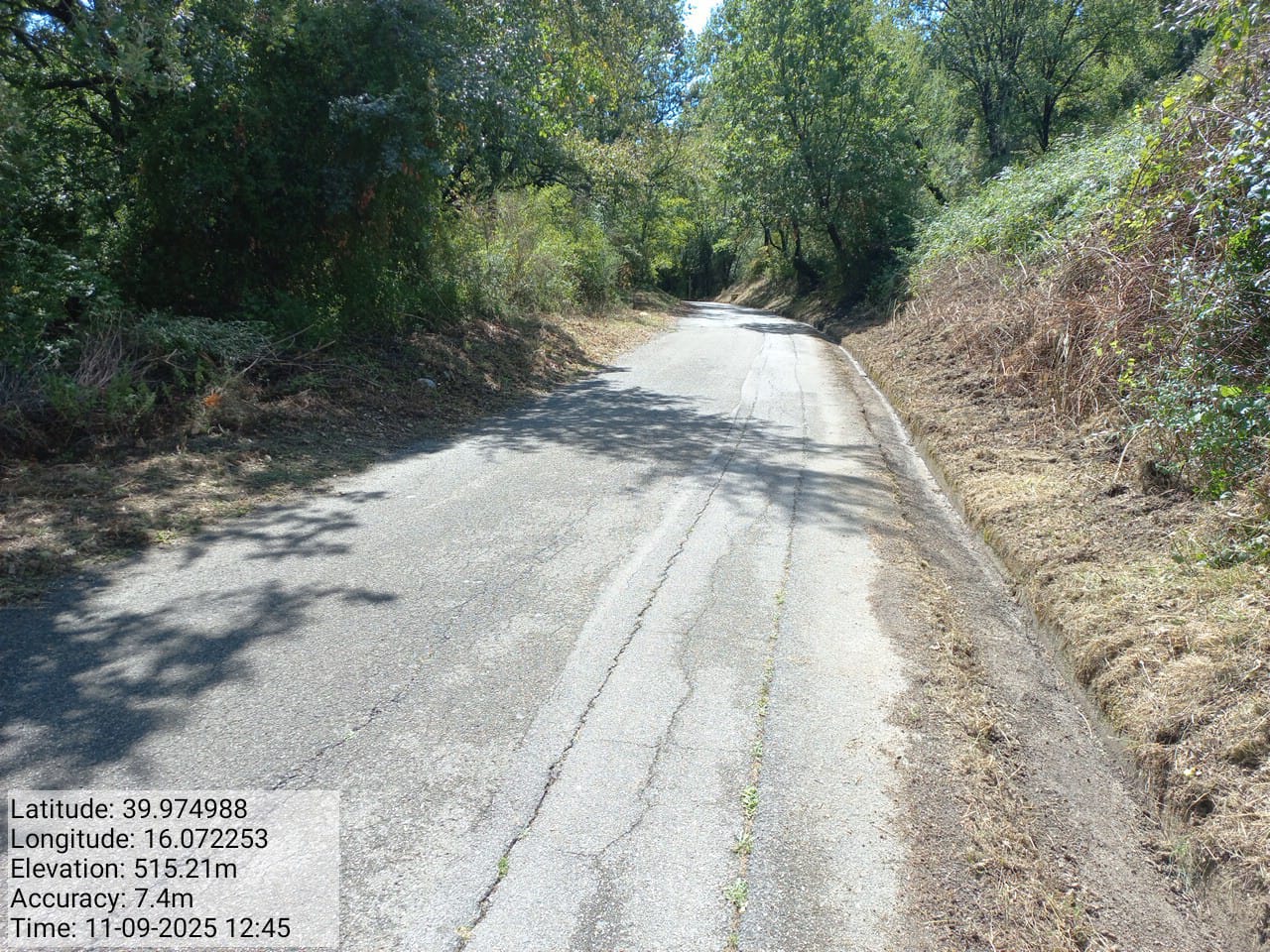 Galleria Fotografica Immagine