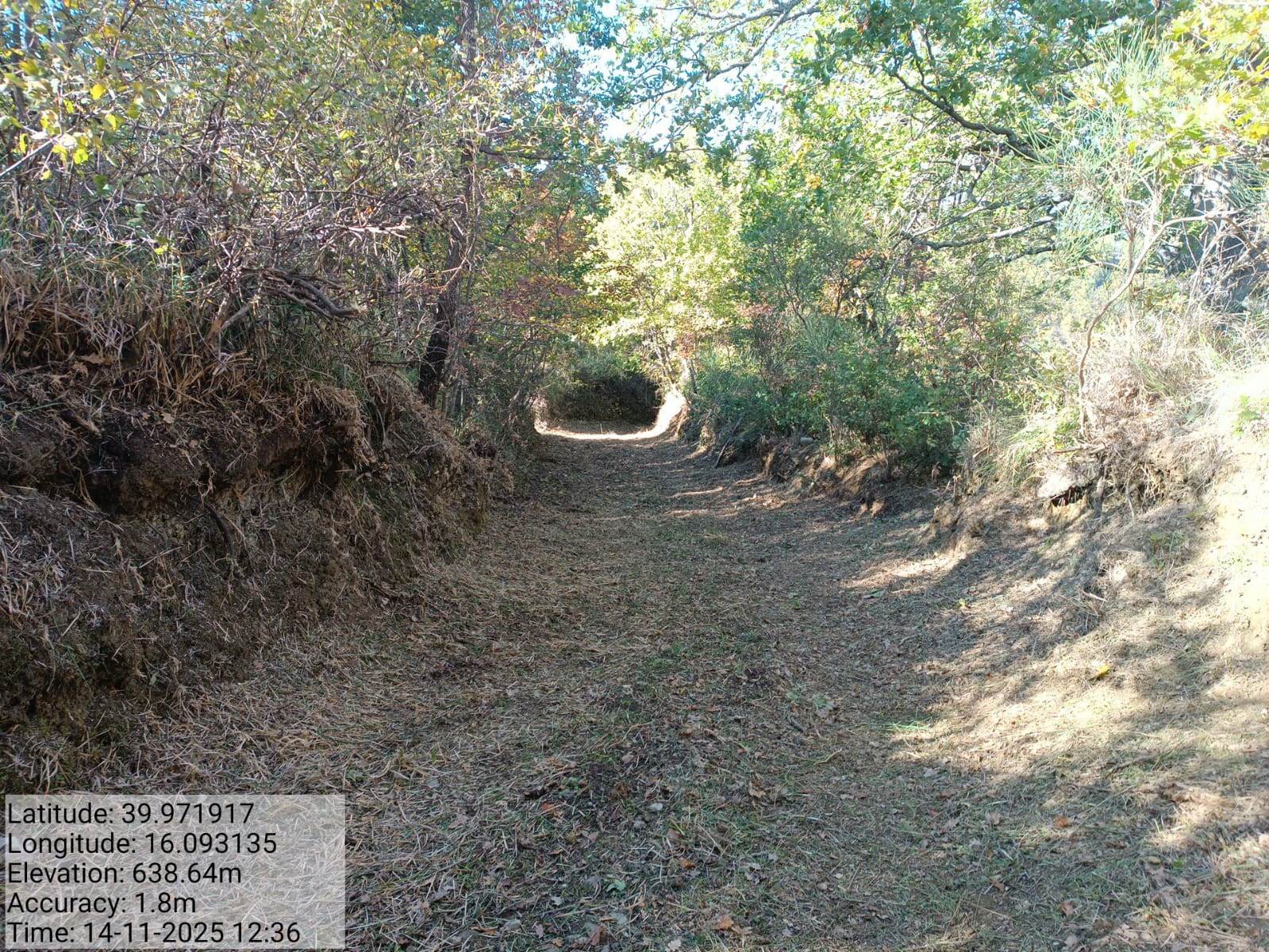 Galleria Fotografica Immagine