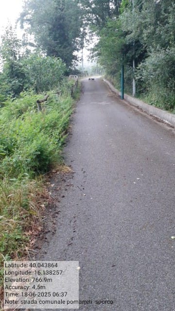 Galleria Fotografica Immagine