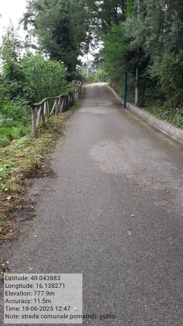 Galleria Fotografica Immagine