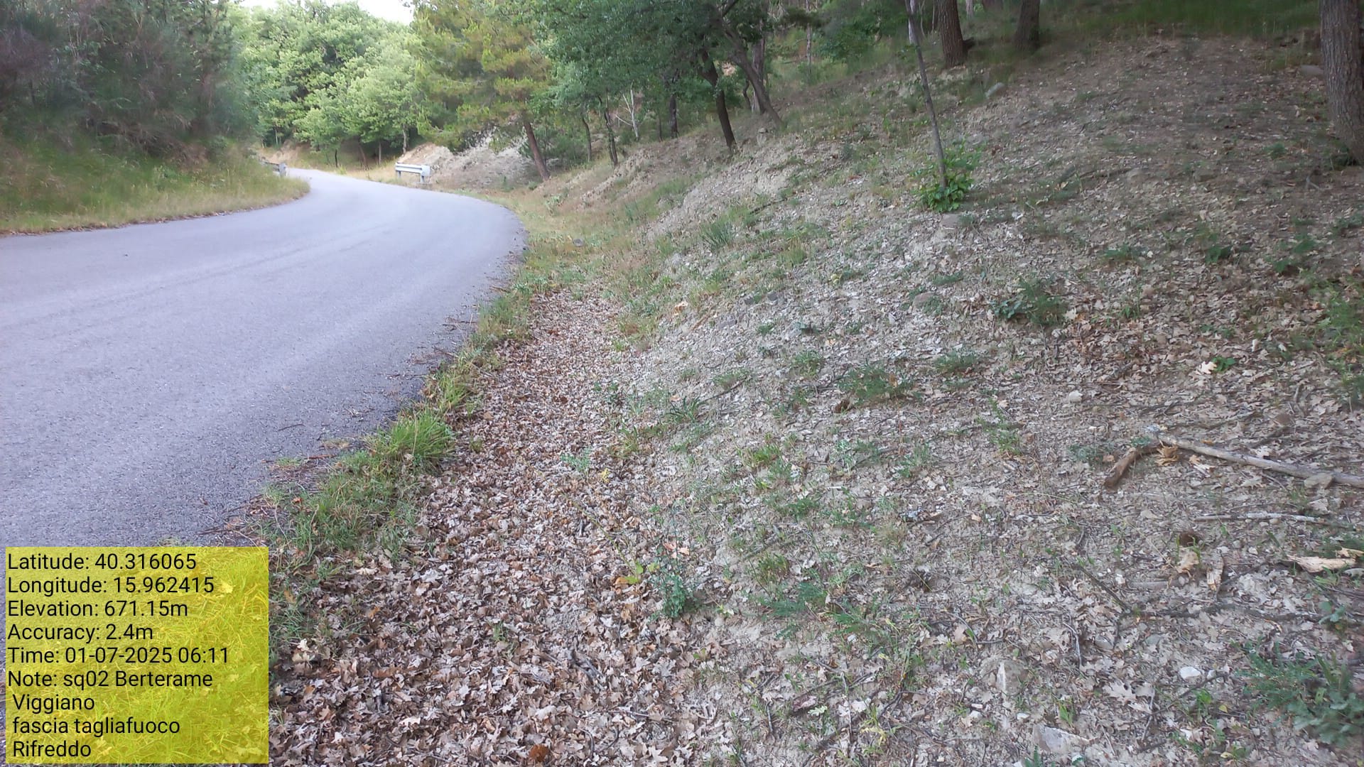 Galleria Fotografica Immagine