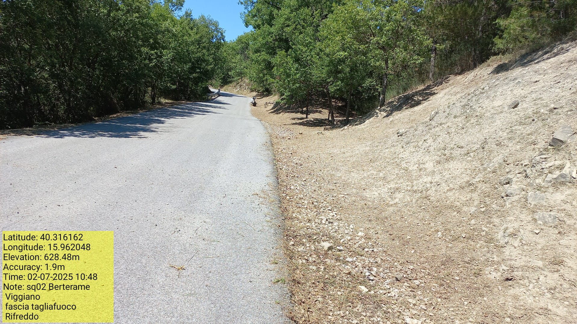 Galleria Fotografica Immagine