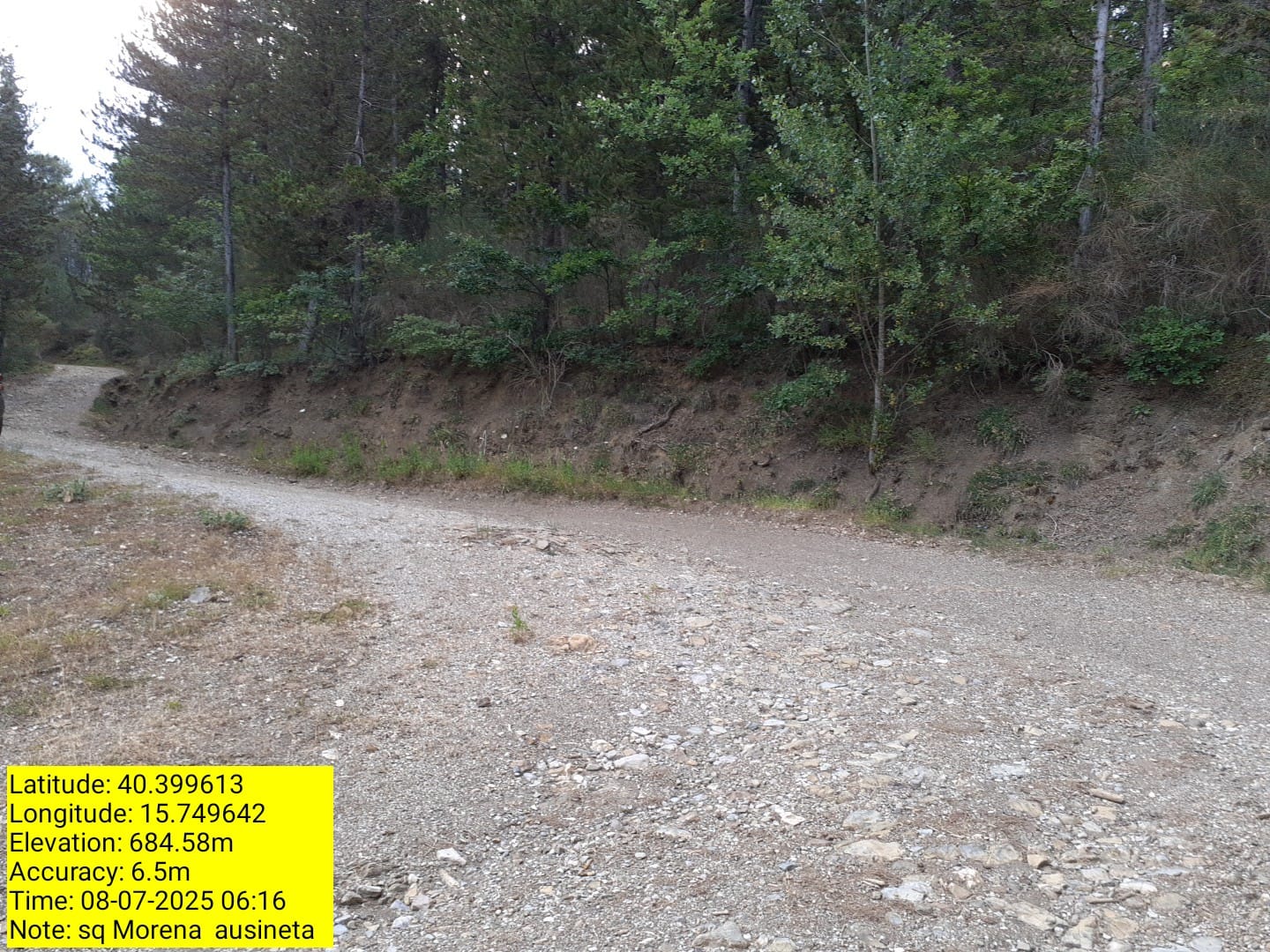 Galleria Fotografica Immagine