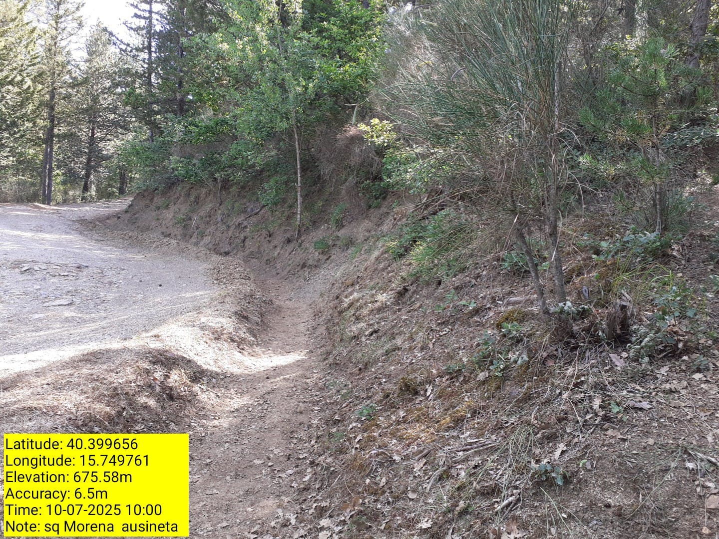 Galleria Fotografica Immagine