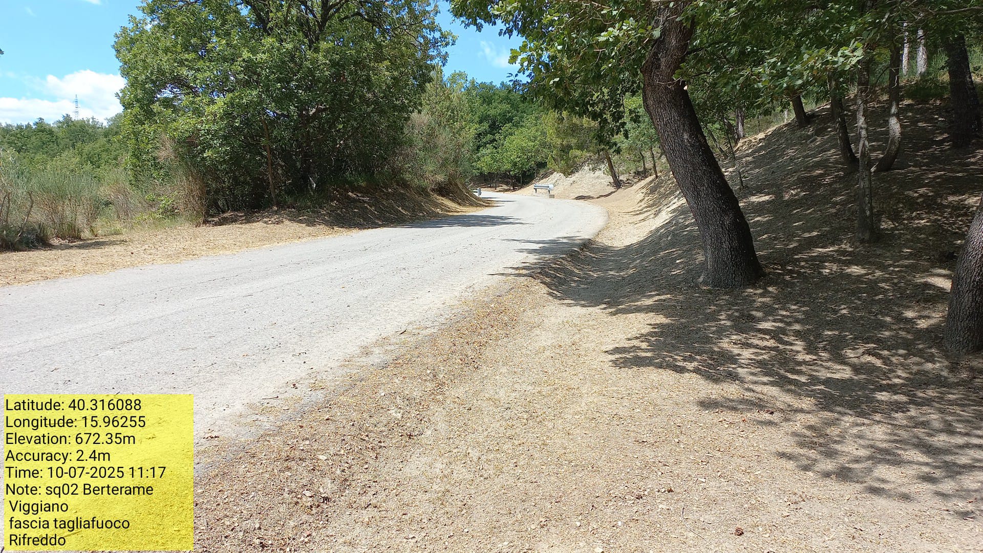 Galleria Fotografica Immagine