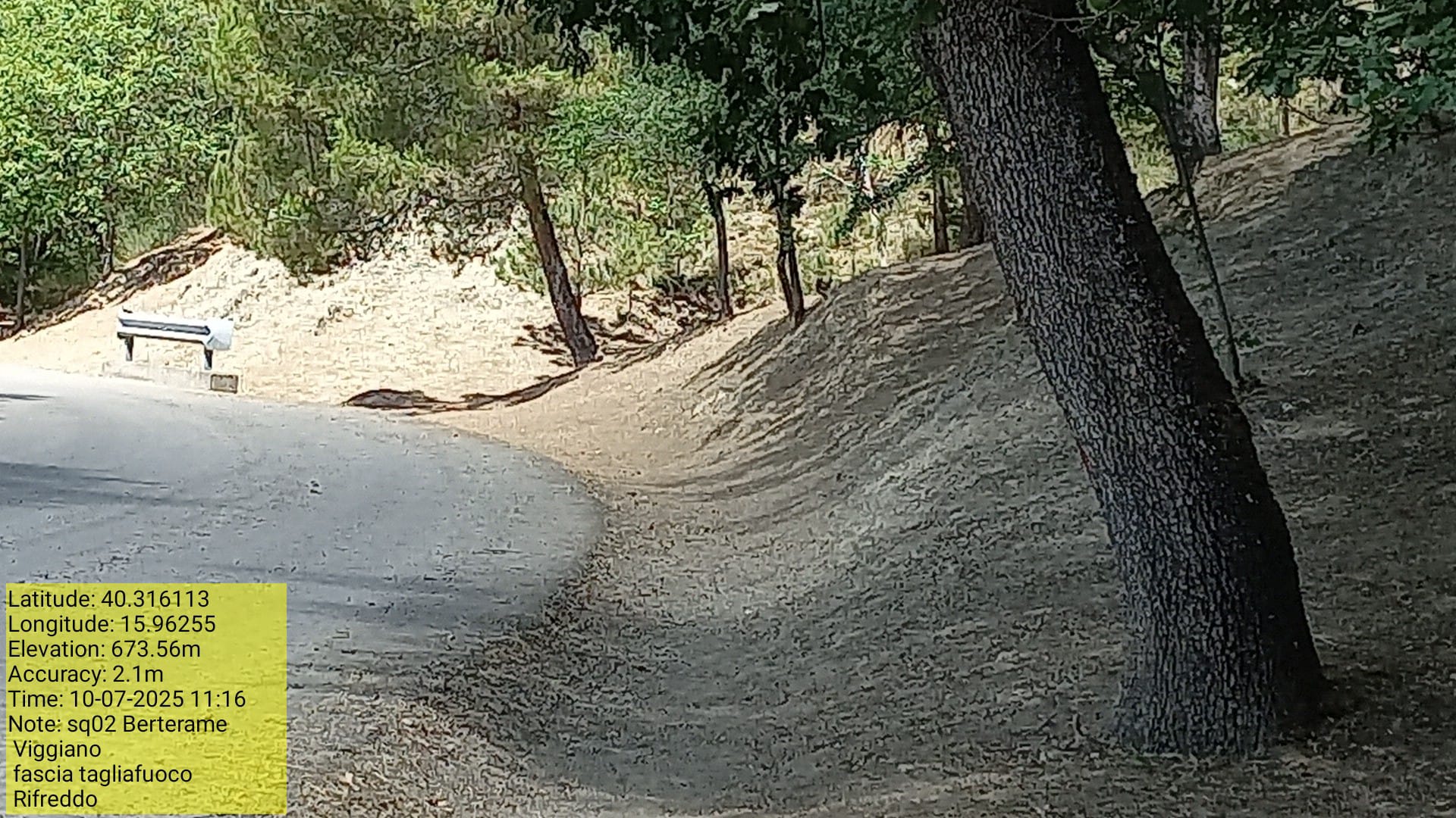 Galleria Fotografica Immagine