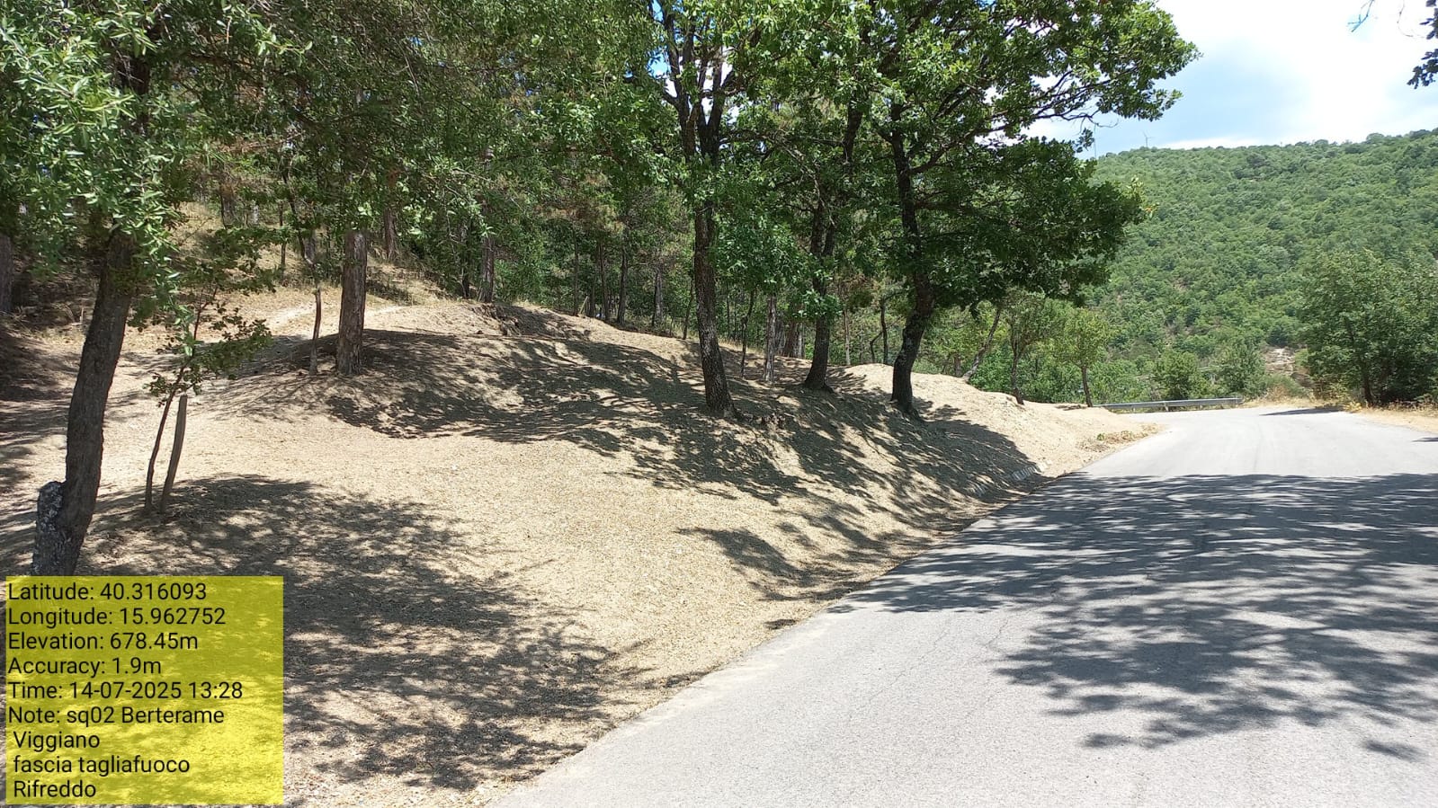 Galleria Fotografica Immagine