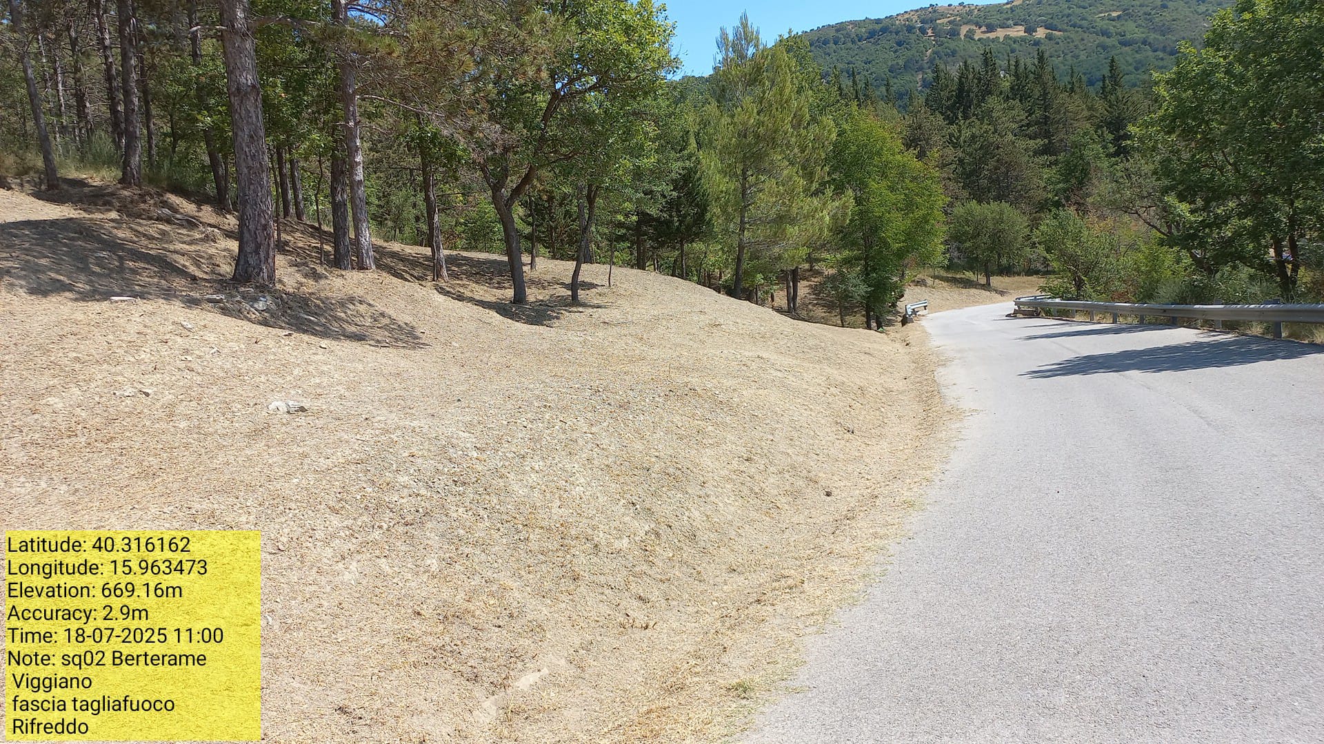 Galleria Fotografica Immagine