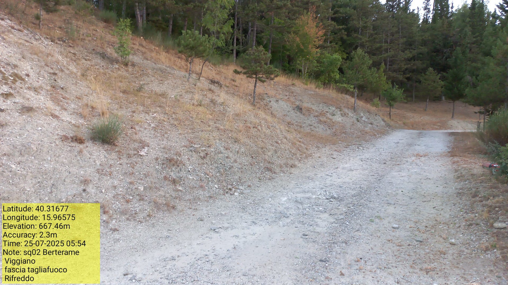 Galleria Fotografica Immagine