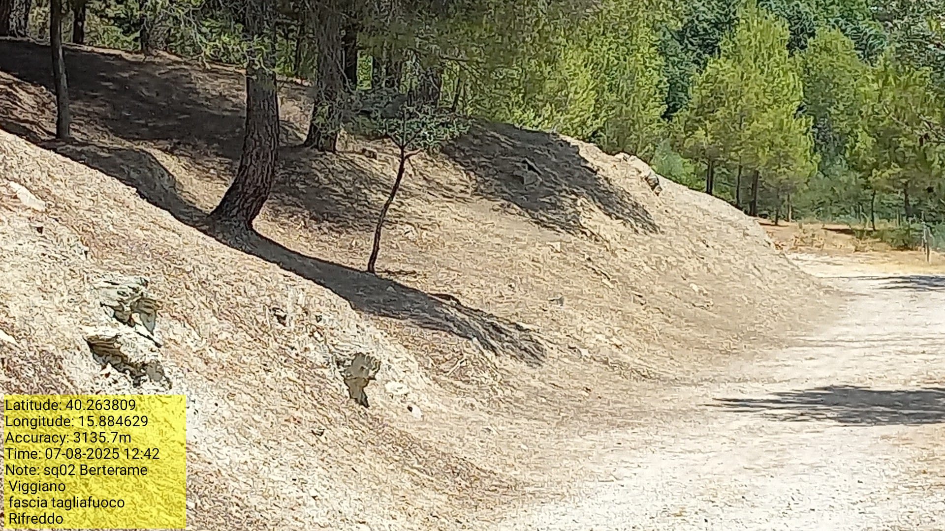 Galleria Fotografica Immagine