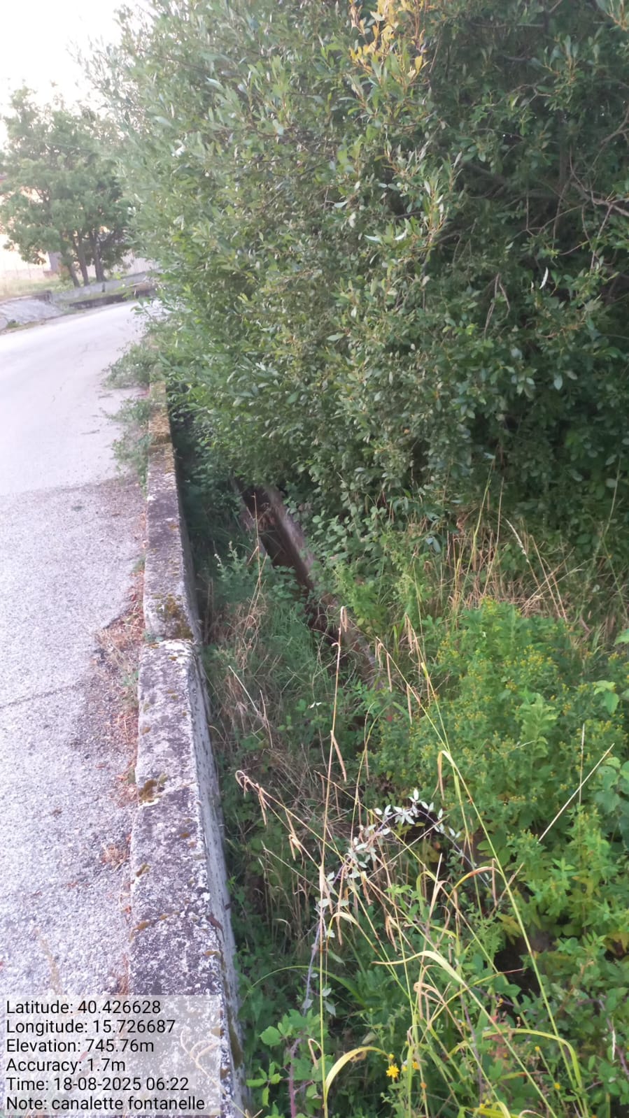 Galleria Fotografica Immagine