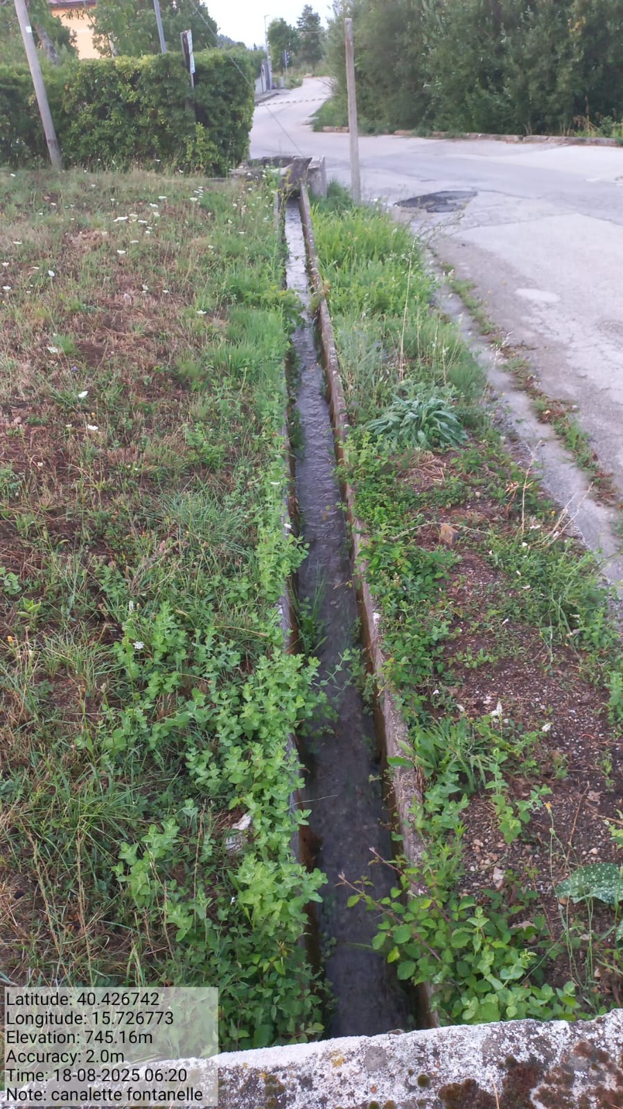 Galleria Fotografica Immagine