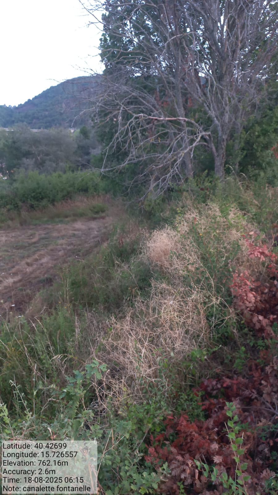 Galleria Fotografica Immagine