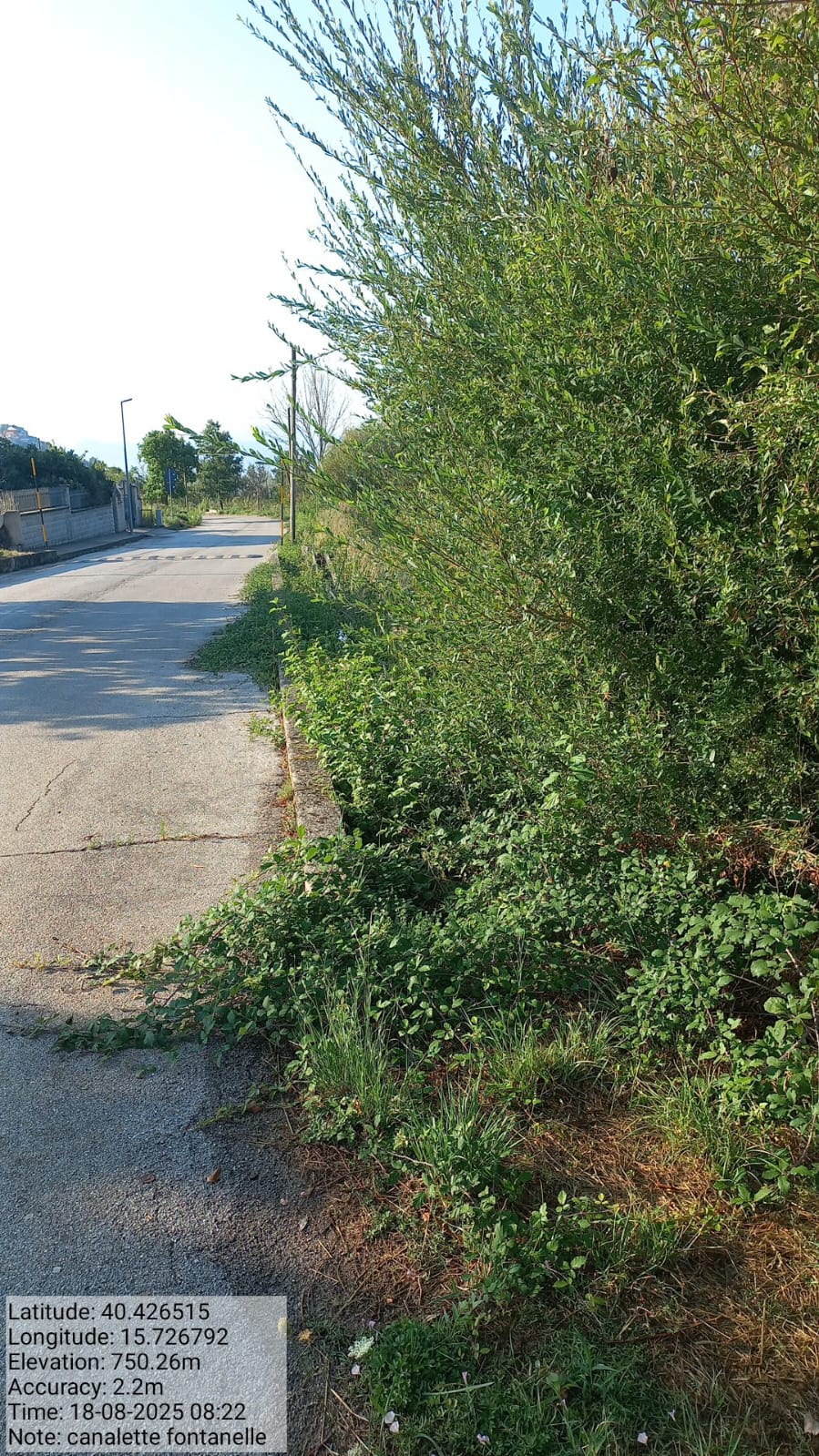 Galleria Fotografica Immagine