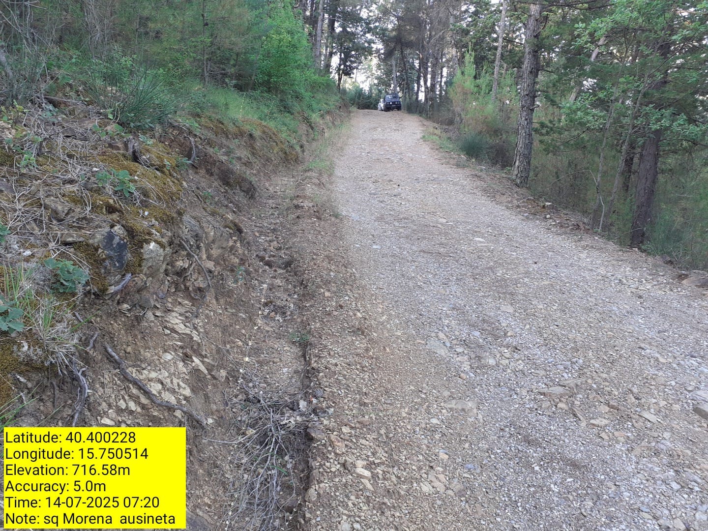 Galleria Fotografica Immagine