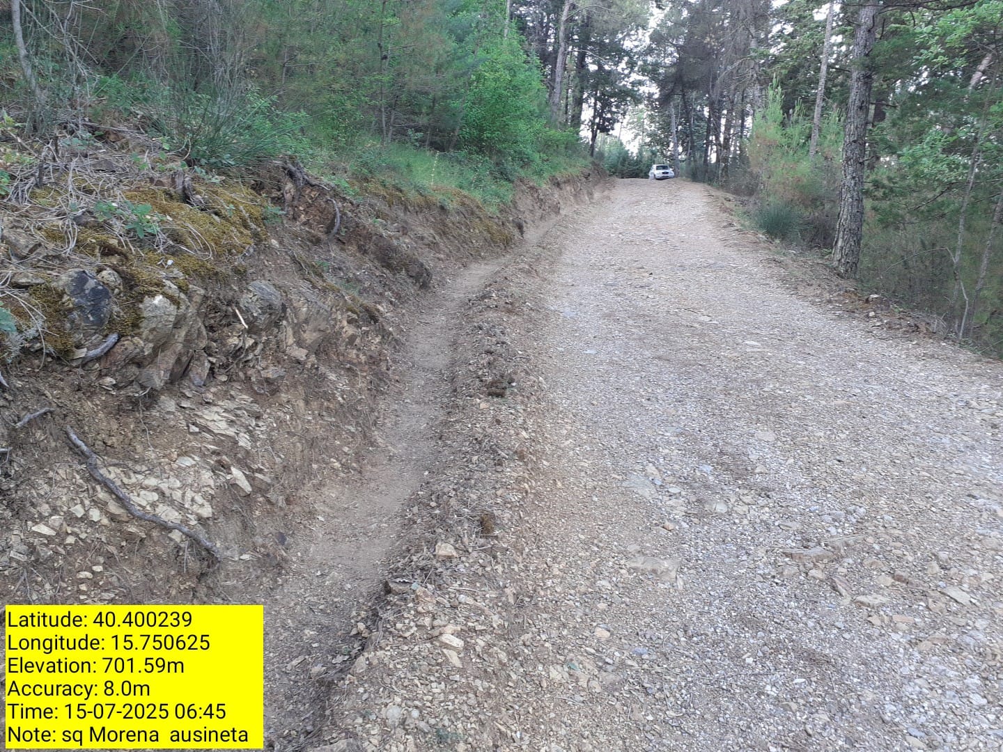 Galleria Fotografica Immagine