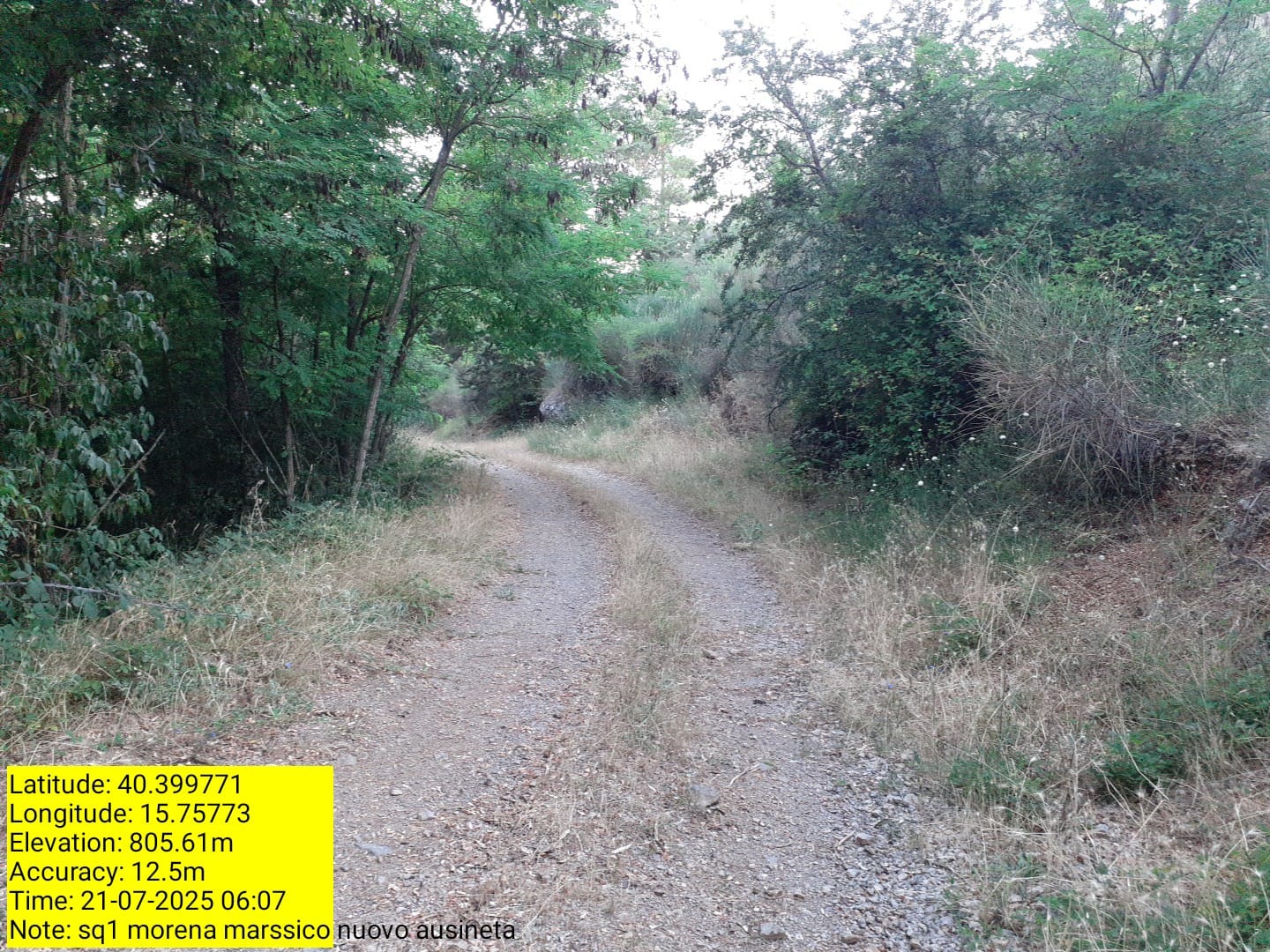 Galleria Fotografica Immagine